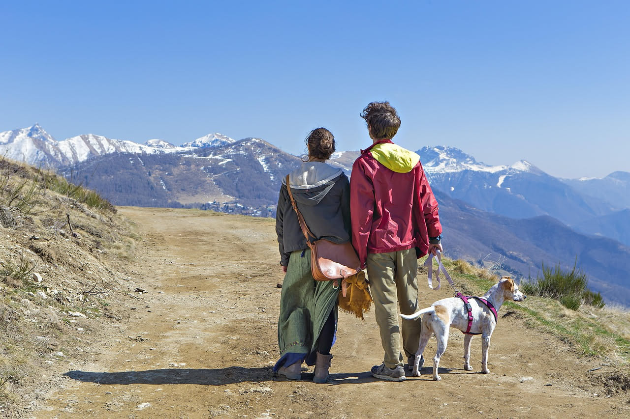Come gestire il cane in viaggio verso le vacanze: la guida